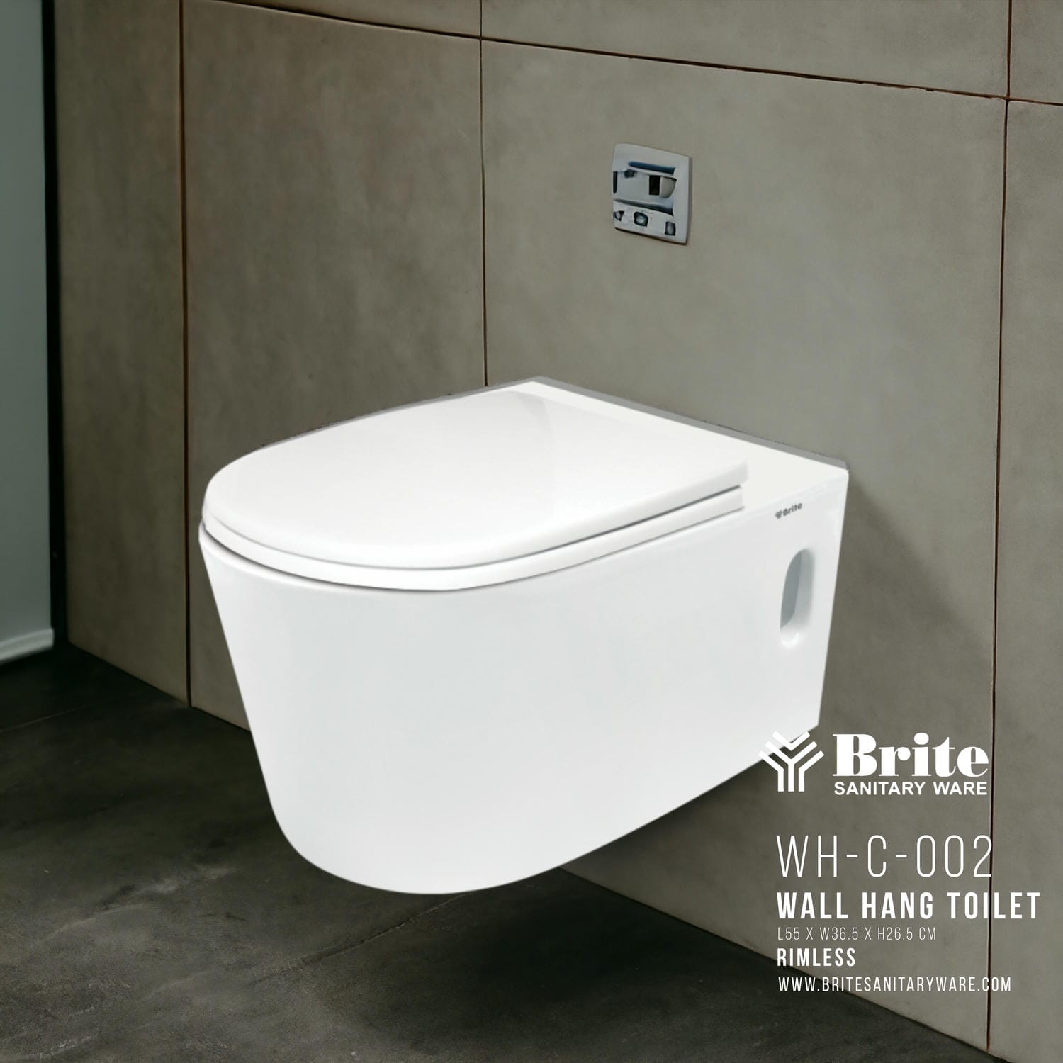 WH-C-0002 Rimless Wall Hang Cito by Brite Sanitary Ware