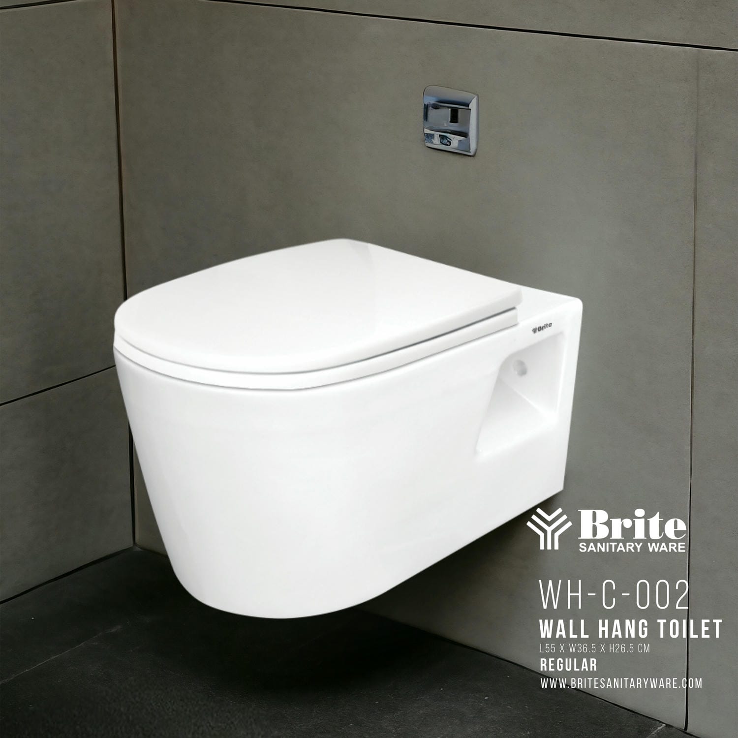 WH-C-0002 Wall Hang Cito by Brite Sanitary Ware