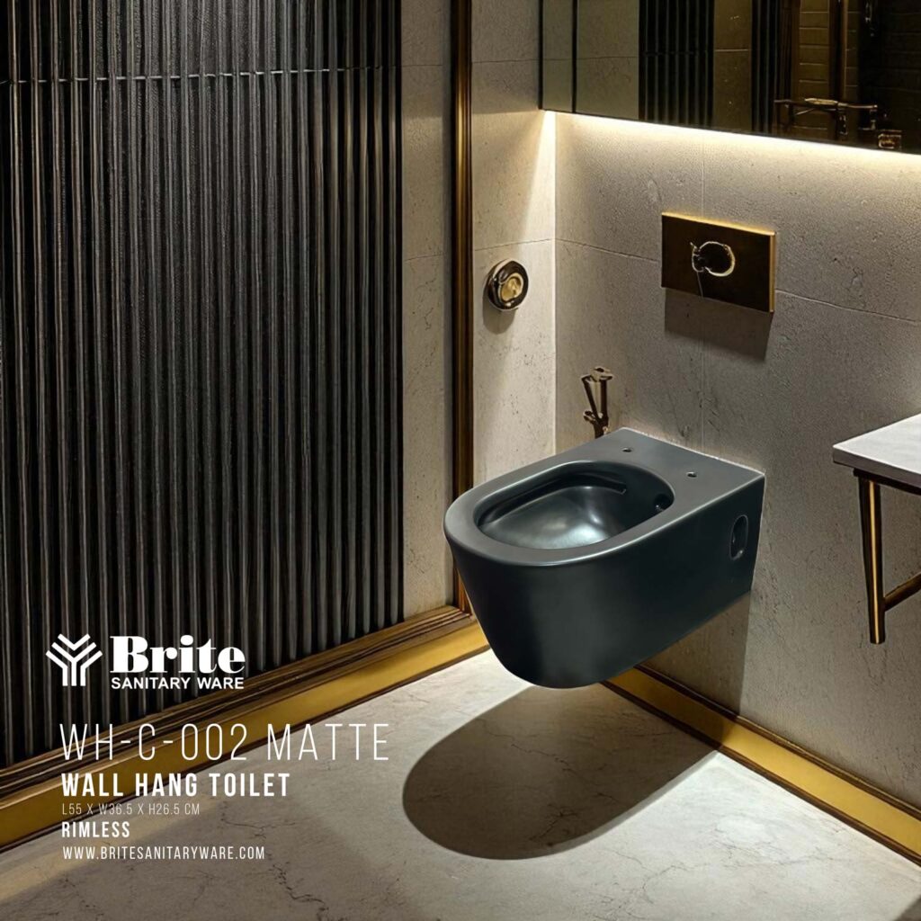 WH-C-0002-Rimless-Wall-Hang-Cito-Matte-by-Brite-Sanitary-Ware